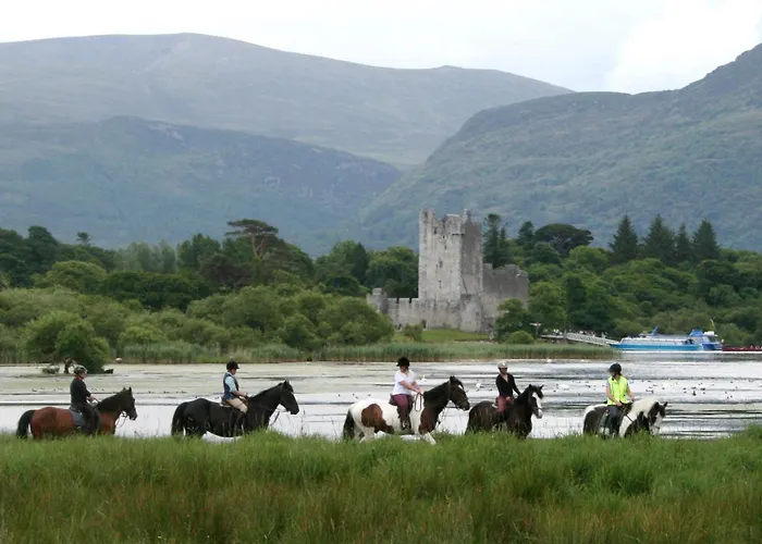 Bed & Breakfast Copper Kettle 3*